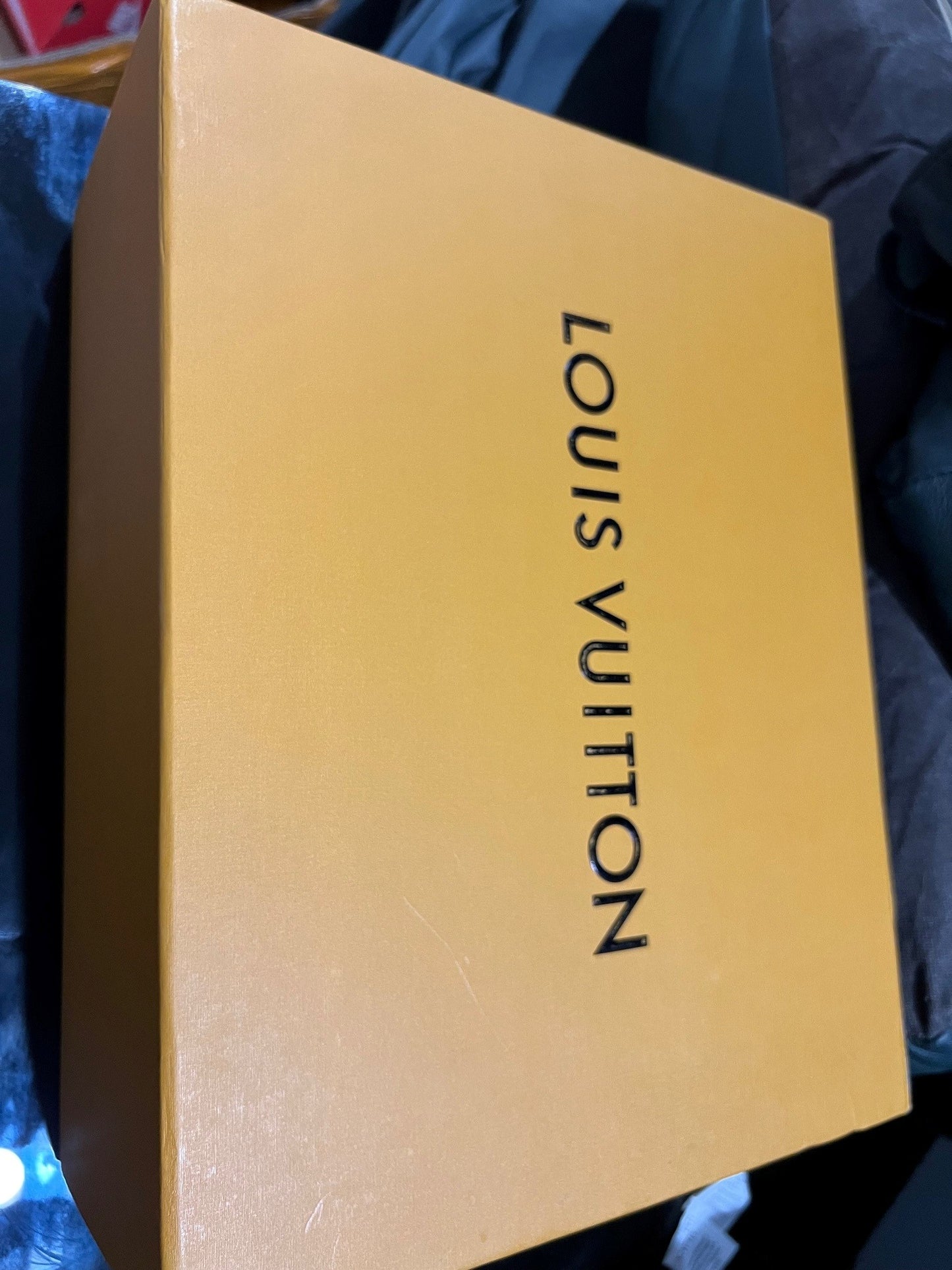 Louis Vuitton Blue Sneakers