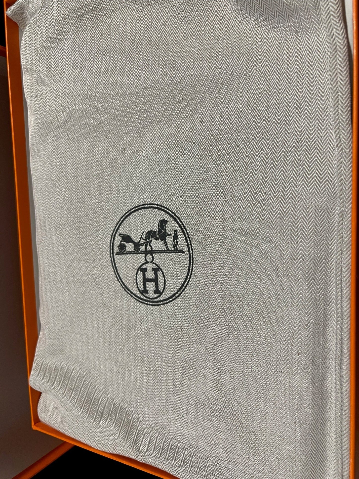 Hermes Men's Sneakers